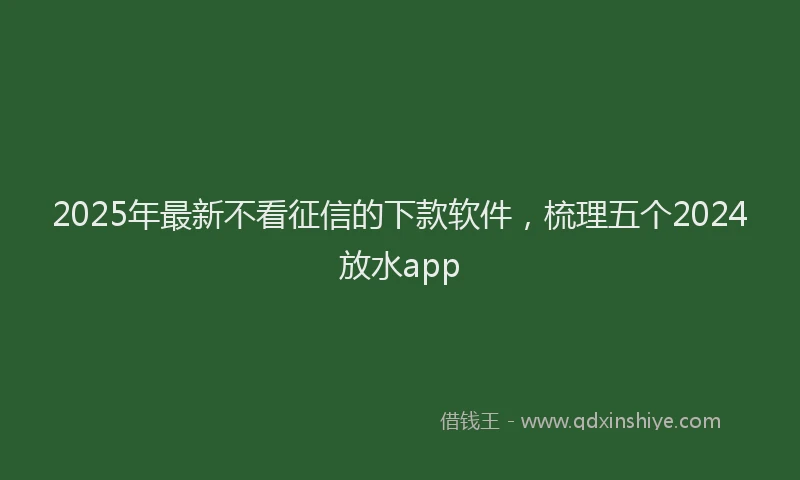 2025年最新不看征信的下款软件，梳理五个2024放水app
