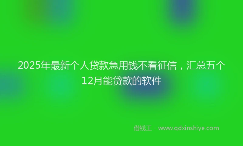 2025年最新个人贷款急用钱不看征信，汇总五个12月能贷款的软件