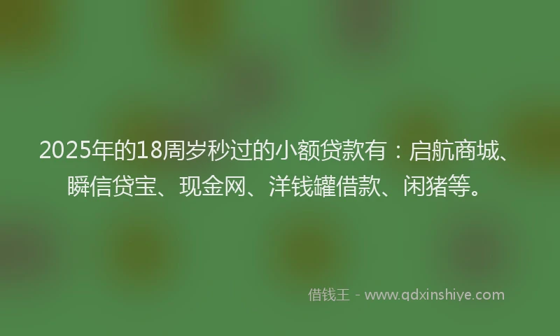 2025年的18周岁秒过的小额贷款有：启航商城、瞬信贷宝、现金网、洋钱罐借款、闲猪等。