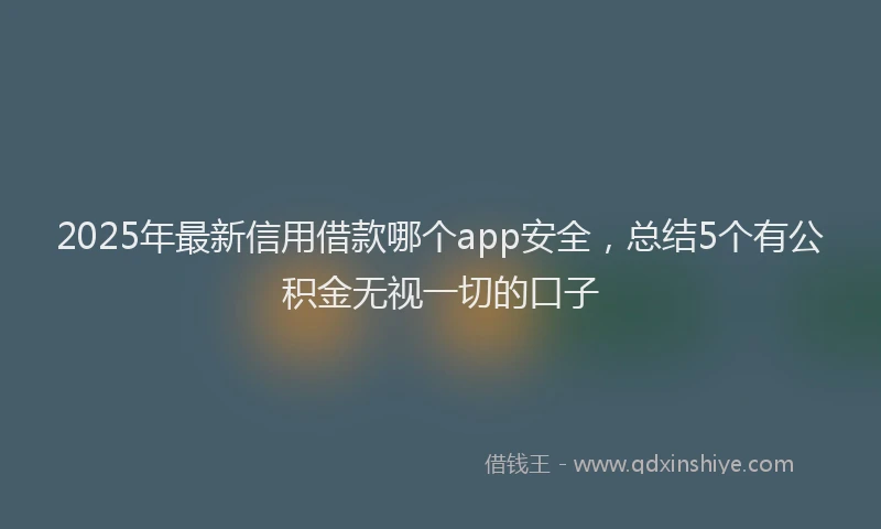 2025年最新信用借款哪个app安全，总结5个有公积金无视一切的口子