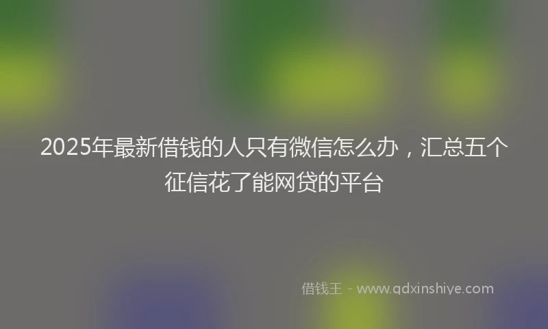 2025年最新借钱的人只有微信怎么办，汇总五个征信花了能网贷的平台