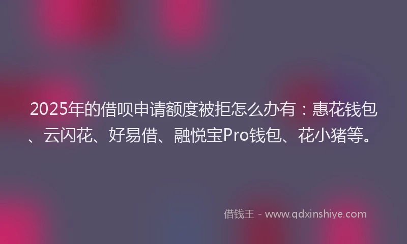 2025年的借呗申请额度被拒怎么办有：惠花钱包、云闪花、好易借、融悦宝Pro钱包、花小猪等。