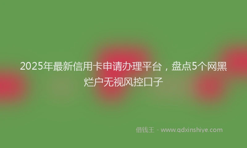 2025年最新信用卡申请办理平台，盘点5个网黑烂户无视风控口子