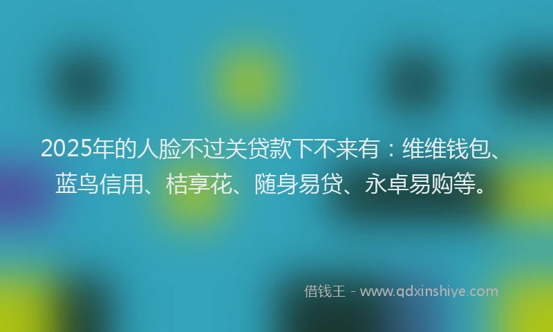 2025年的人脸不过关贷款下不来有：维维钱包、蓝鸟信用、桔享花、随身易贷、永卓易购等。