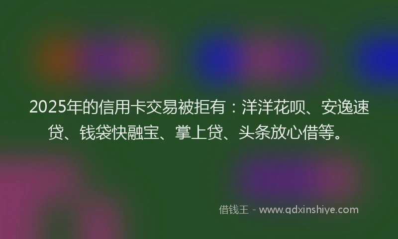 2025年的信用卡交易被拒有：洋洋花呗、安逸速贷、钱袋快融宝、掌上贷、头条放心借等。