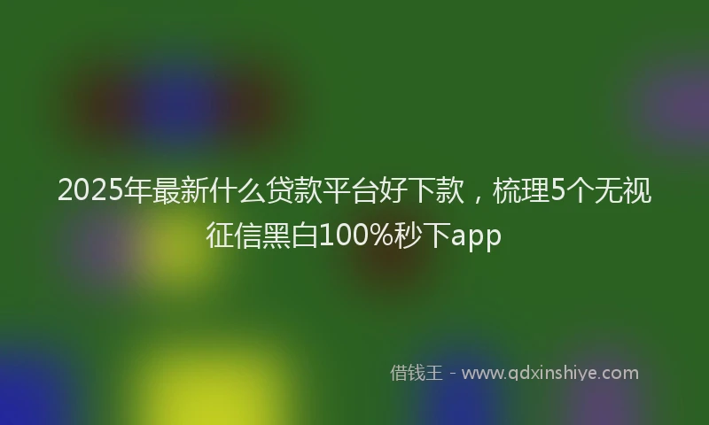 2025年最新什么贷款平台好下款，梳理5个无视征信黑白100%秒下app