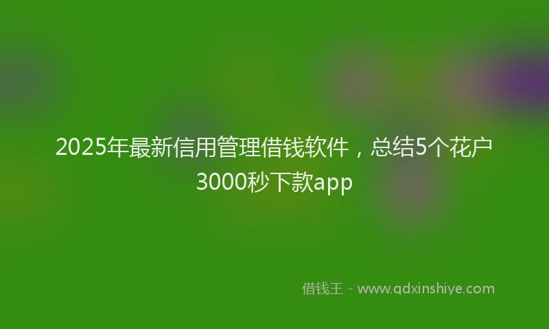 2025年最新信用管理借钱软件，总结5个花户3000秒下款app