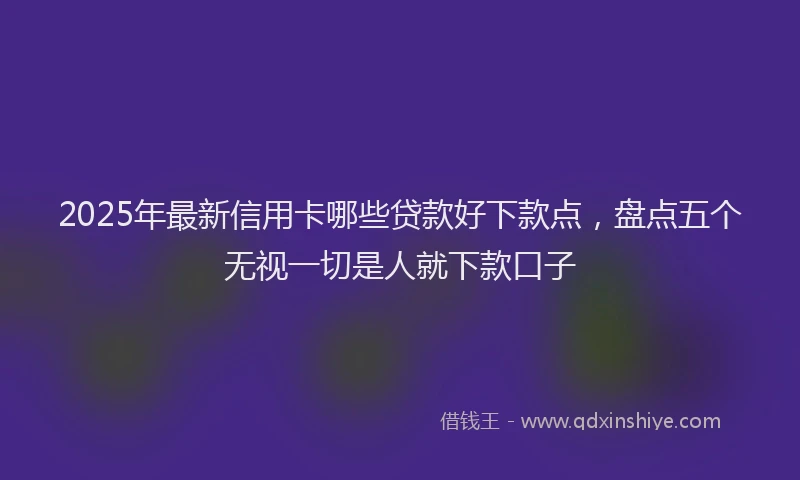 2025年最新信用卡哪些贷款好下款点，盘点五个无视一切是人就下款口子