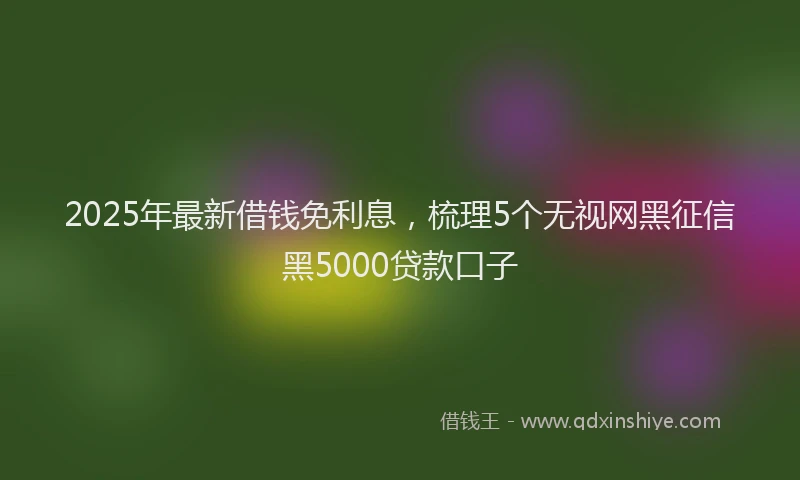 2025年最新借钱免利息，梳理5个无视网黑征信黑5000贷款口子