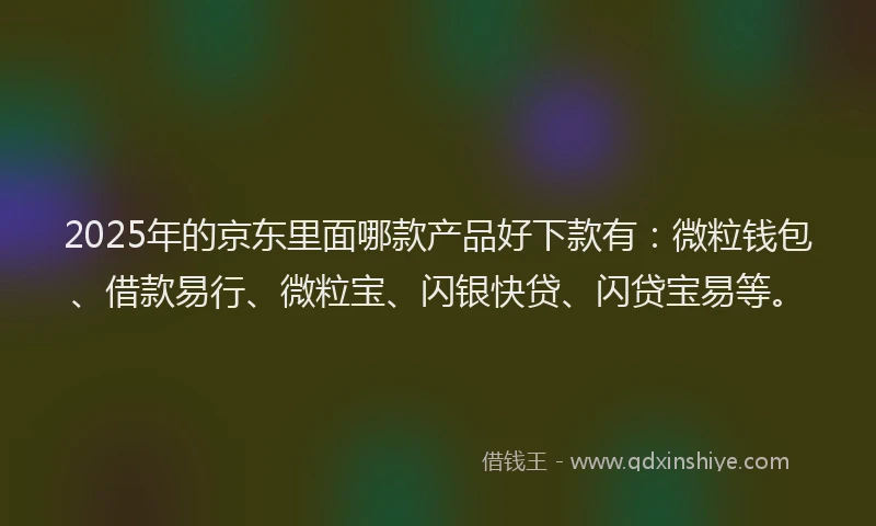 2025年的京东里面哪款产品好下款有：微粒钱包、借款易行、微粒宝、闪银快贷、闪贷宝易等。