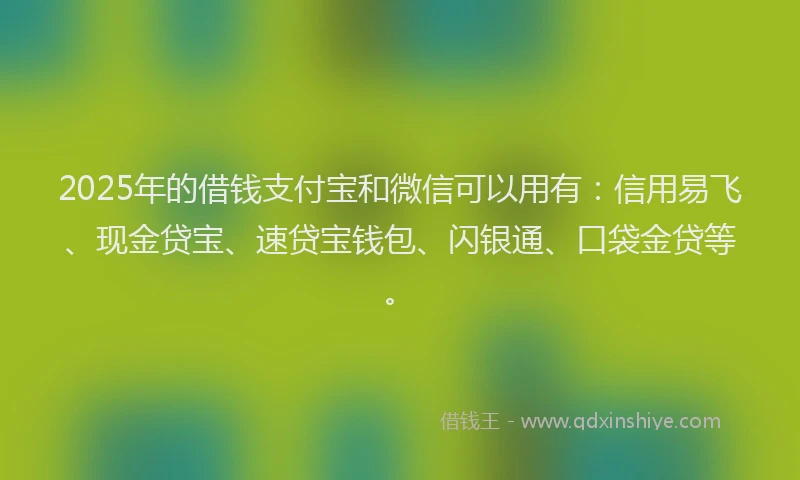 2025年的借钱支付宝和微信可以用有：信用易飞、现金贷宝、速贷宝钱包、闪银通、口袋金贷等。