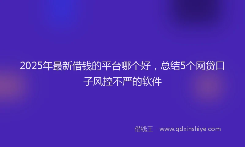 2025年最新借钱的平台哪个好，总结5个网贷口子风控不严的软件