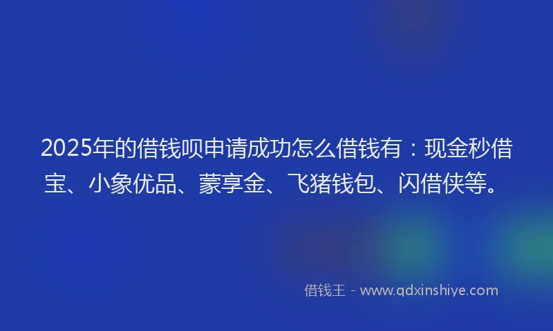 2025年的借钱呗申请成功怎么借钱有：现金秒借宝、小象优品、蒙享金、飞猪钱包、闪借侠等。