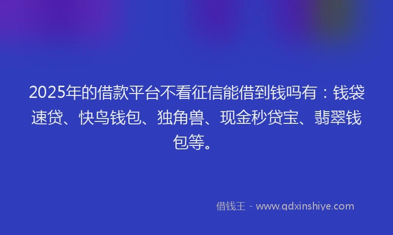 2025年的借款平台不看征信能借到钱吗有：钱袋速贷、快鸟钱包、独角兽、现金秒贷宝、翡翠钱包等。