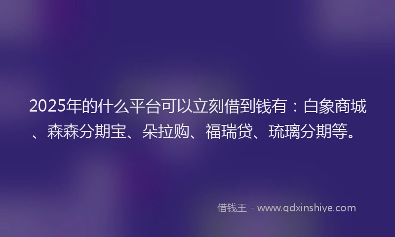 2025年的什么平台可以立刻借到钱有：白象商城、森森分期宝、朵拉购、福瑞贷、琉璃分期等。