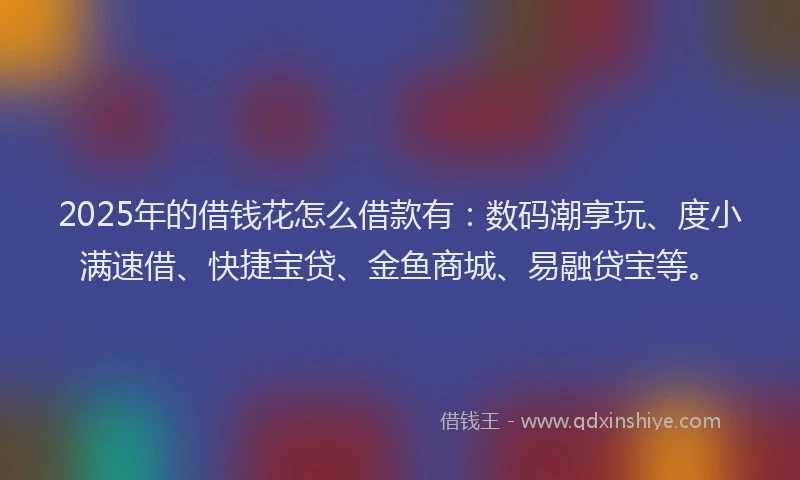2025年的借钱花怎么借款有：数码潮享玩、度小满速借、快捷宝贷、金鱼商城、易融贷宝等。