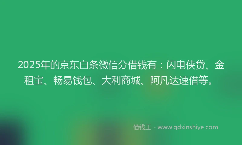 2025年的京东白条微信分借钱有：闪电侠贷、金租宝、畅易钱包、大利商城、阿凡达速借等。
