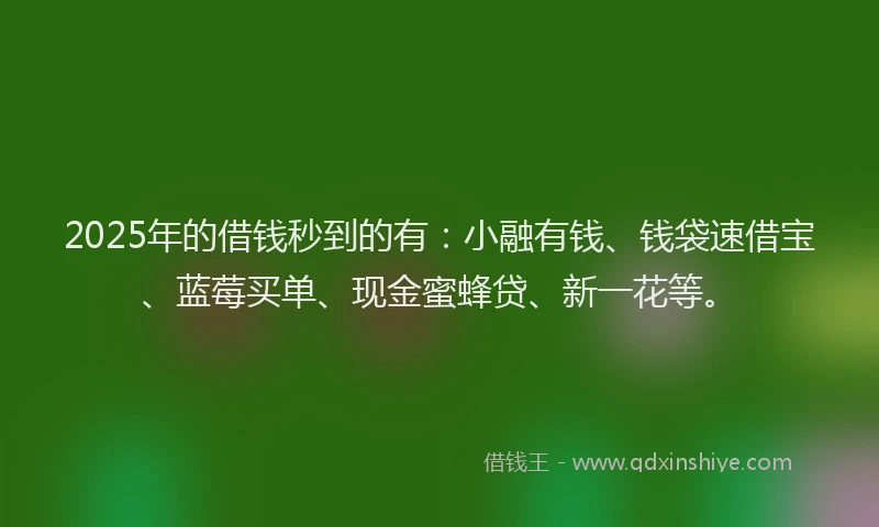 2025年的借钱秒到的有：小融有钱、钱袋速借宝、蓝莓买单、现金蜜蜂贷、新一花等。