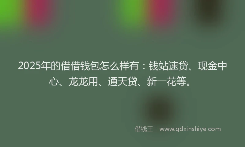 2025年的借借钱包怎么样有：钱站速贷、现金中心、龙龙用、通天贷、新一花等。