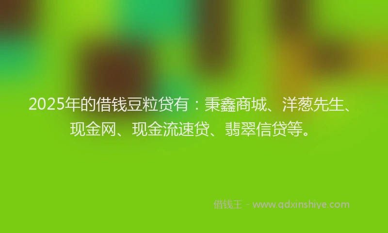 2025年的借钱豆粒贷有：秉鑫商城、洋葱先生、现金网、现金流速贷、翡翠信贷等。