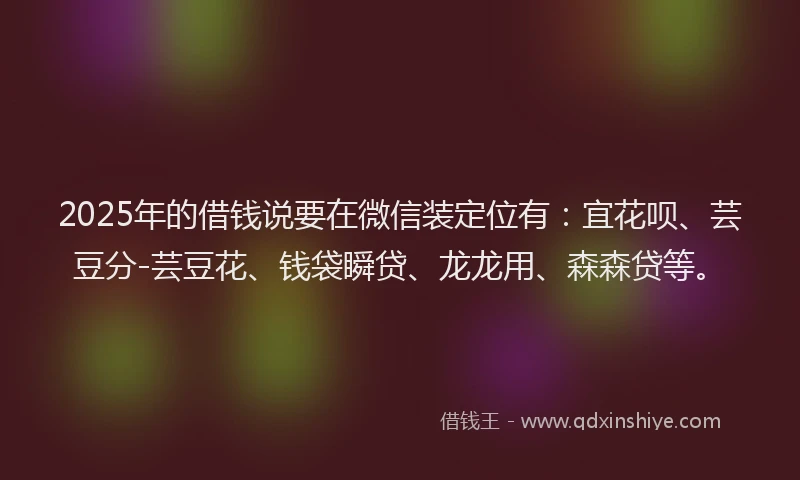 2025年的借钱说要在微信装定位有：宜花呗、芸豆分-芸豆花、钱袋瞬贷、龙龙用、森森贷等。