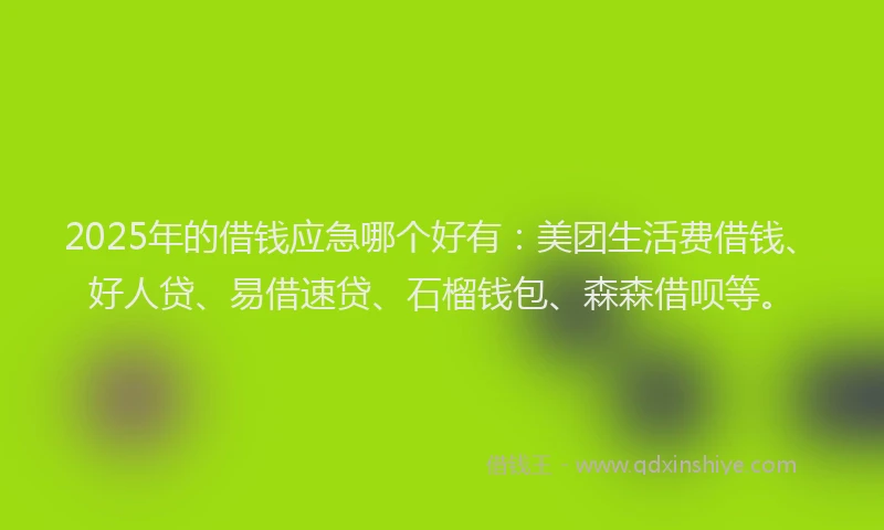 2025年的借钱应急哪个好有：美团生活费借钱、好人贷、易借速贷、石榴钱包、森森借呗等。