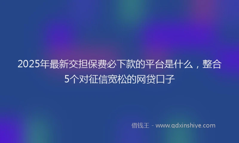 2025年最新交担保费必下款的平台是什么，整合5个对征信宽松的网贷口子
