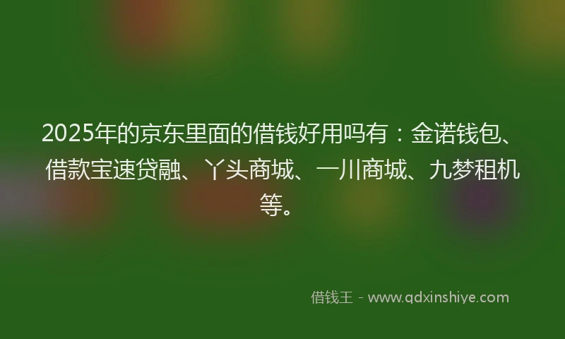 2025年的京东里面的借钱好用吗有：金诺钱包、借款宝速贷融、丫头商城、一川商城、九梦租机等。