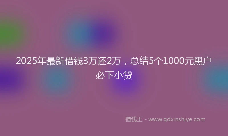 2025年最新借钱3万还2万，总结5个1000元黑户必下小贷