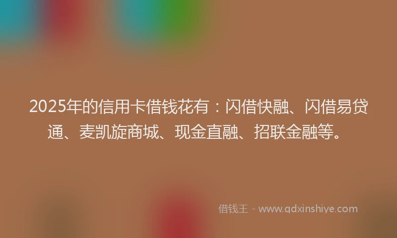 2025年的信用卡借钱花有：闪借快融、闪借易贷通、麦凯旋商城、现金直融、招联金融等。