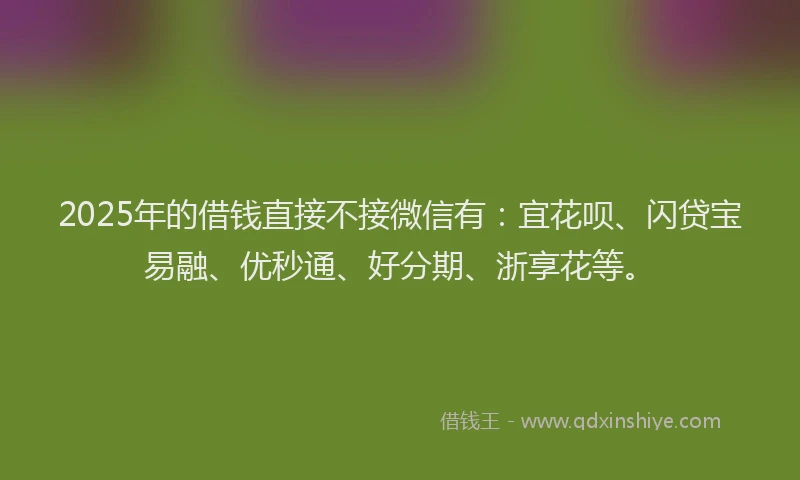 2025年的借钱直接不接微信有：宜花呗、闪贷宝易融、优秒通、好分期、浙享花等。