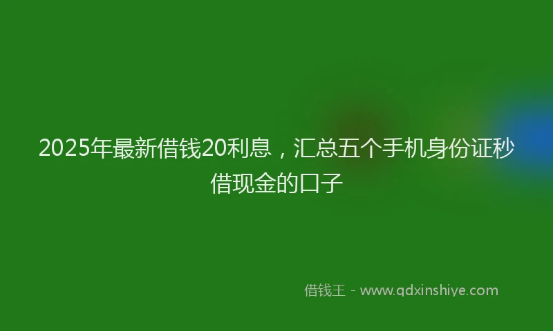 2025年最新借钱20利息，汇总五个手机身份证秒借现金的口子