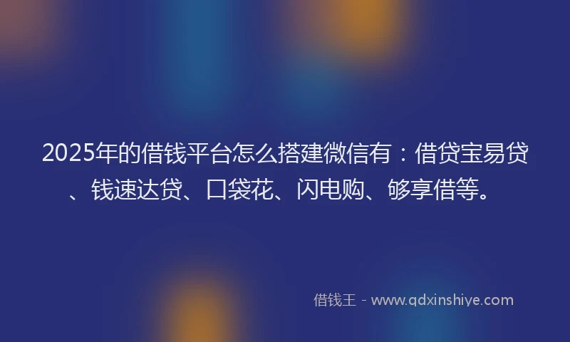 2025年的借钱平台怎么搭建微信有：借贷宝易贷、钱速达贷、口袋花、闪电购、够享借等。
