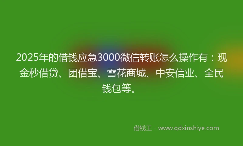 2025年的借钱应急3000微信转账怎么操作有：现金秒借贷、团借宝、雪花商城、中安信业、全民钱包等。