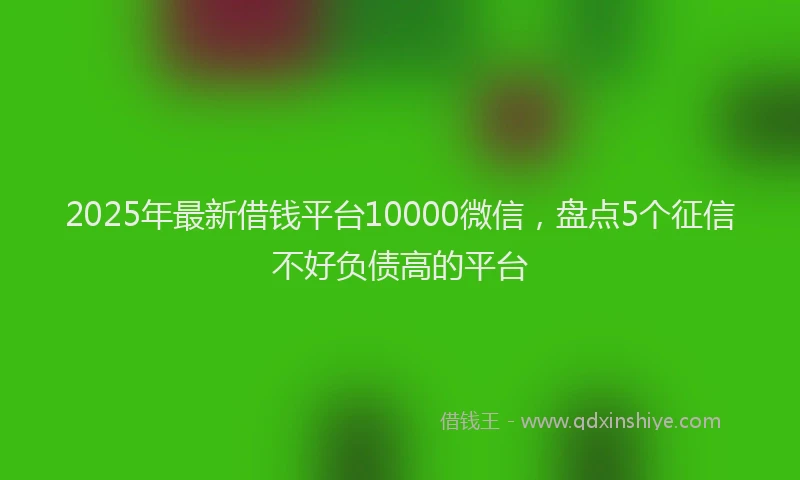 2025年最新借钱平台10000微信，盘点5个征信不好负债高的平台
