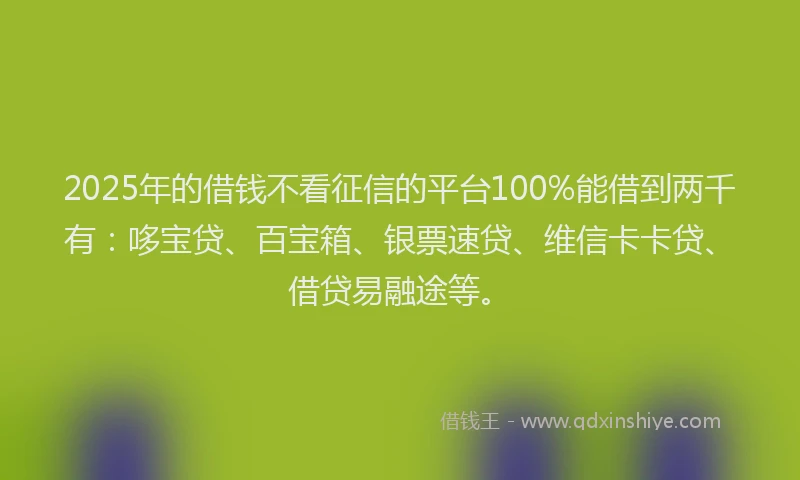 2025年的借钱不看征信的平台100%能借到两千有：哆宝贷、百宝箱、银票速贷、维信卡卡贷、借贷易融途等。