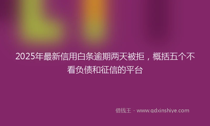 2025年最新信用白条逾期两天被拒，概括五个不看负债和征信的平台