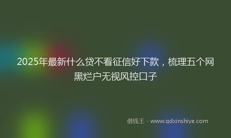 2025年最新什么贷不看征信好下款，梳理五个网黑烂户无视风控口子