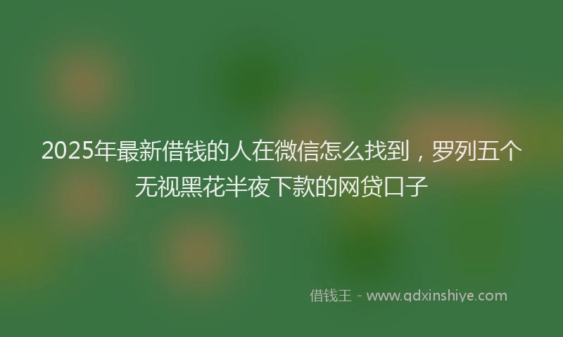 2025年最新借钱的人在微信怎么找到，罗列五个无视黑花半夜下款的网贷口子