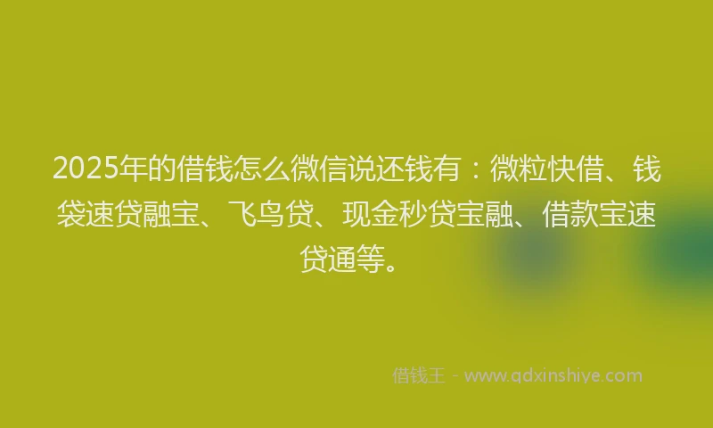 2025年的借钱怎么微信说还钱有：微粒快借、钱袋速贷融宝、飞鸟贷、现金秒贷宝融、借款宝速贷通等。