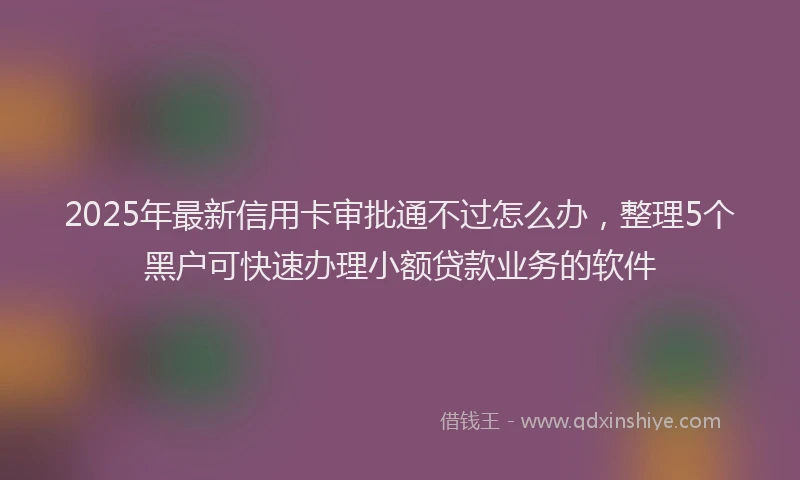 2025年最新信用卡审批通不过怎么办，整理5个黑户可快速办理小额贷款业务的软件