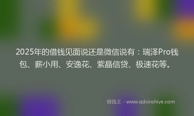 2025年的借钱见面说还是微信说有：瑞泽Pro钱包、薪小用、安逸花、紫晶信贷、极速花等。