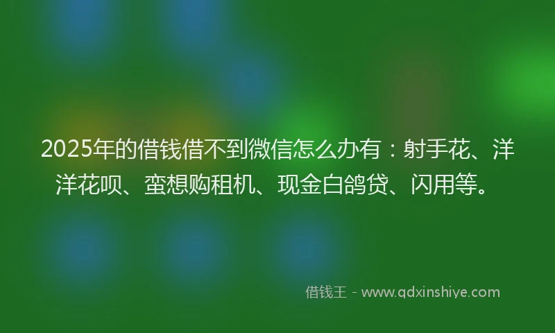 2025年的借钱借不到微信怎么办有：射手花、洋洋花呗、蛮想购租机、现金白鸽贷、闪用等。