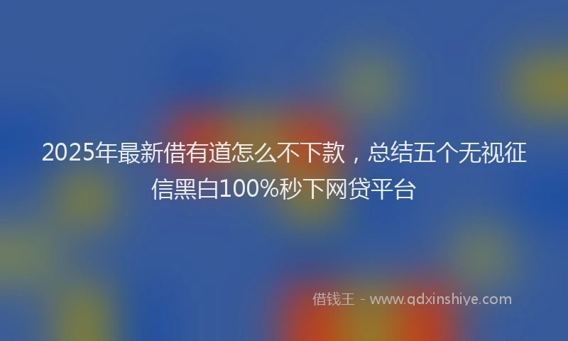 2025年最新借有道怎么不下款，总结五个无视征信黑白100%秒下网贷平台