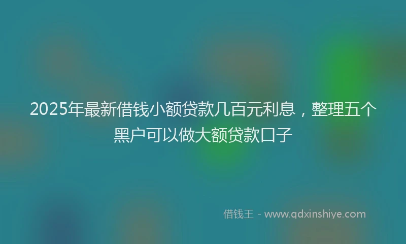 2025年最新借钱小额贷款几百元利息，整理五个黑户可以做大额贷款口子