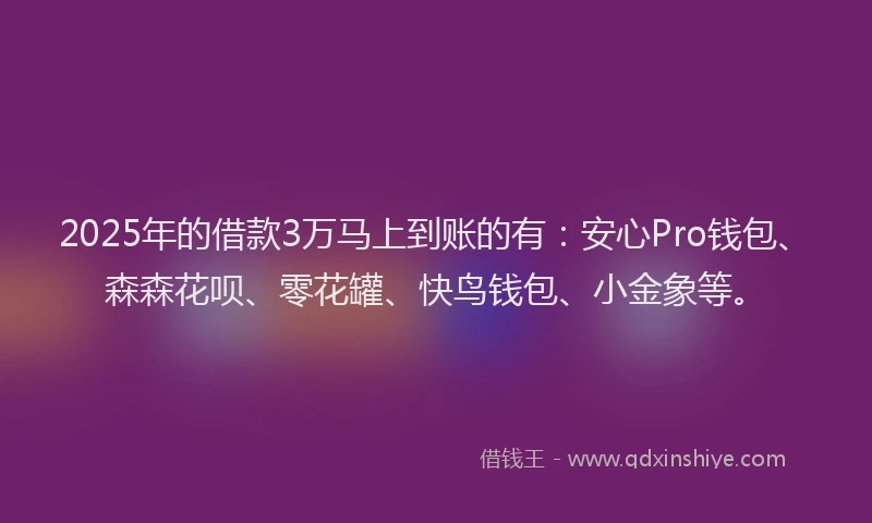 2025年的借款3万马上到账的有：安心Pro钱包、森森花呗、零花罐、快鸟钱包、小金象等。