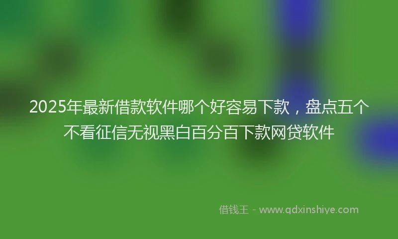 2025年最新借款软件哪个好容易下款，盘点五个不看征信无视黑白百分百下款网贷软件