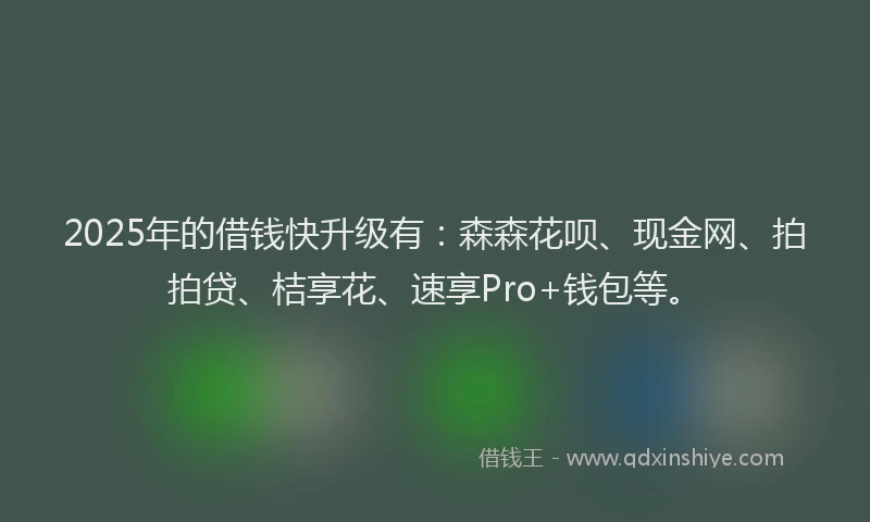 2025年的借钱快升级有：森森花呗、现金网、拍拍贷、桔享花、速享Pro+钱包等。