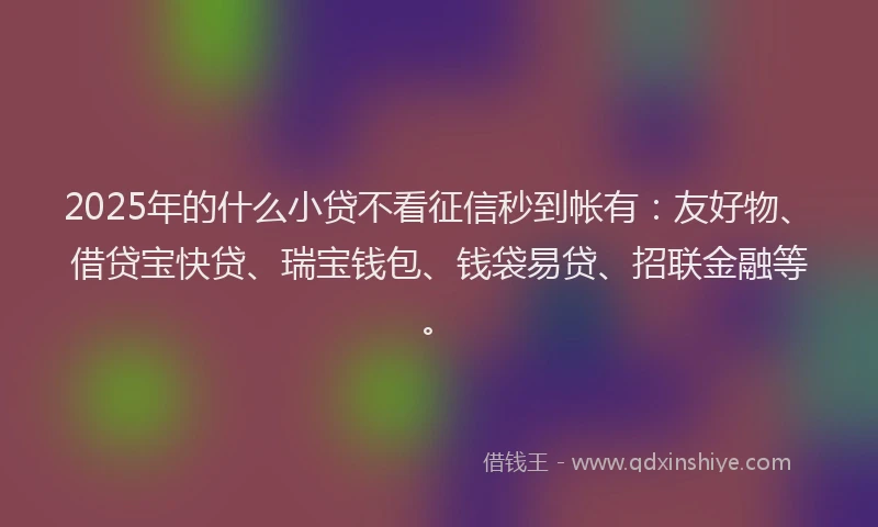 2025年的什么小贷不看征信秒到帐有：友好物、借贷宝快贷、瑞宝钱包、钱袋易贷、招联金融等。