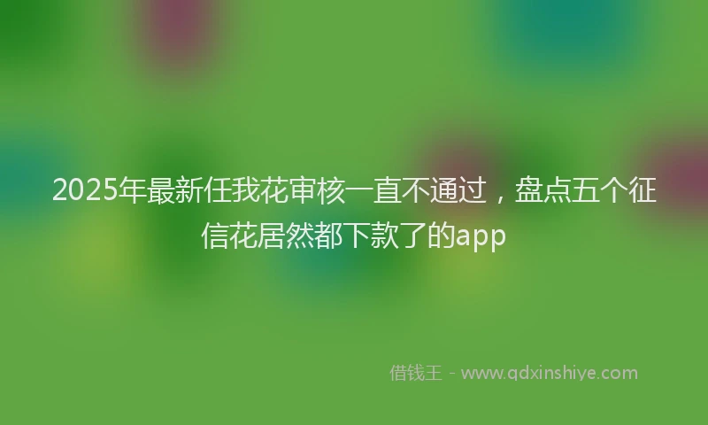 2025年最新任我花审核一直不通过，盘点五个征信花居然都下款了的app